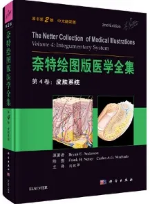 奈特绘图版医学全集 第4卷 皮肤系统 原书第2版