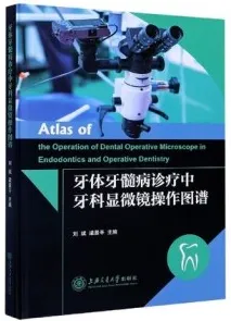 牙体牙髓病诊疗中牙科显微镜操作图谱