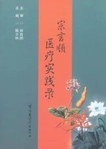 宗言顺医疗实践录