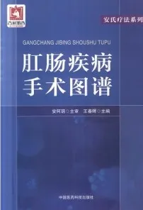 肛肠疾病手术图谱
