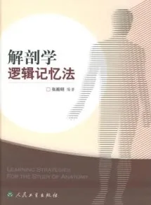 解剖学逻辑记忆法