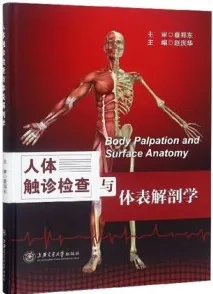 人体触诊检查与体表解剖学