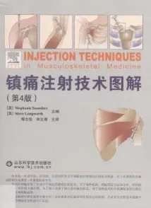 镇痛注射技术图解 原书第4版