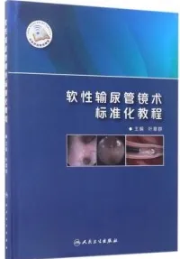 软性输尿管镜术标准化教程