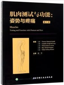肌肉测试与功能：姿势与疼痛 第5版
