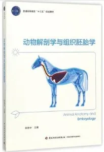 动物解剖学与组织胚胎学
