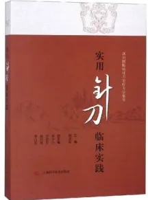 实用针刀临床实践