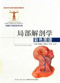 局部解剖学彩色图谱