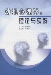 动机心理学 理论与实践