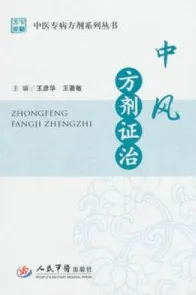 中风方剂证治 中医专病方剂系列丛书