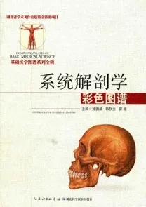 系统解剖学彩色图谱