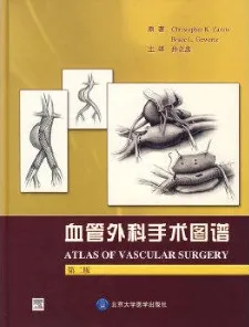血管外科手术图谱（第二版）