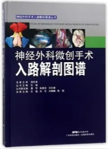 神经外科微创手术入路解剖图谱
