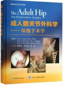 成人髋关节外科学 保髋手术学