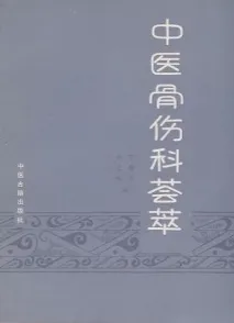 中医骨伤科荟萃
