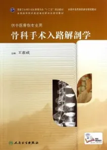 骨科手术入路解剖学