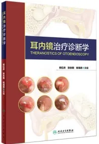 耳内镜治疗诊断学
