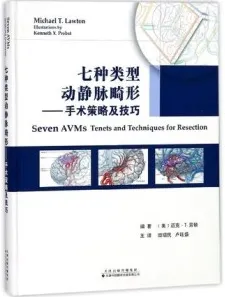七种类型动静脉畸形 手术策略及技巧