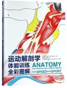 运动解剖学 体能训练全彩图解