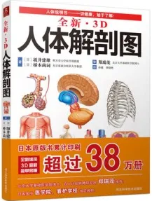 全新3D人体解剖图