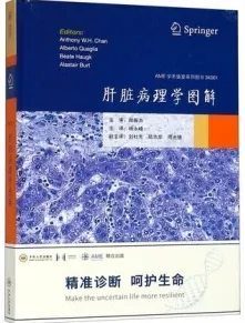 肝脏病理学图解