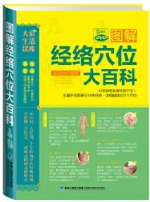 图解经络穴位大百科
