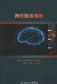 神经胶质细胞