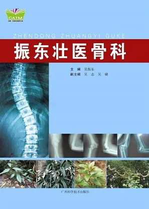 振东壮医骨科