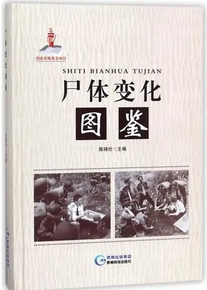 尸体变化图鉴