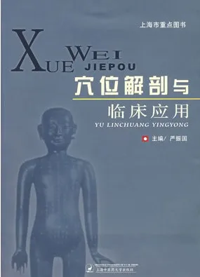 穴位解剖与临床应用