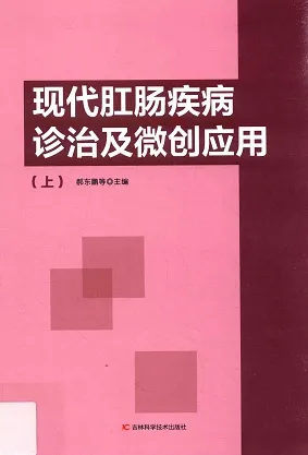 现代肛肠疾病诊治及微创应用 上下