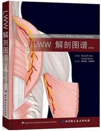 LWW解剖图谱（修订版）