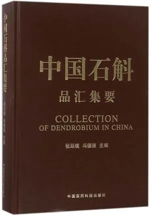 中国石斛品汇集要