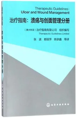 治疗指南 溃疡与创面管理分册