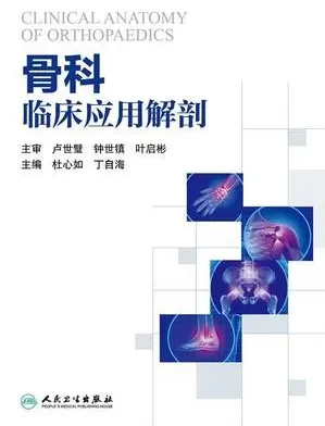 骨科临床应用解剖