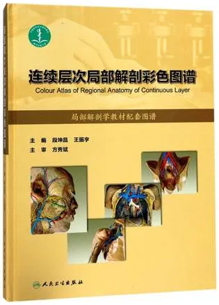 连续层次局部解剖彩色图谱
