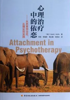 心理治疗中的依恋 从养育到治愈，从理论到实践