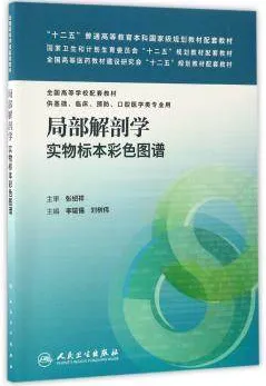 局部解剖学实物标本彩色图谱（汉英对照）