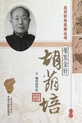 毫发金针