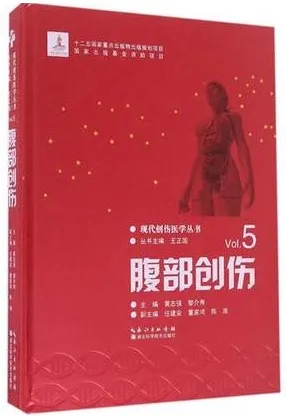 腹部创伤 现代创伤医学丛书