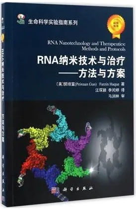 RNA纳米技术与治疗 方法与方案