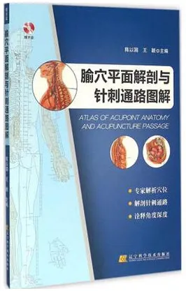 腧穴平面解剖与针刺通路图解