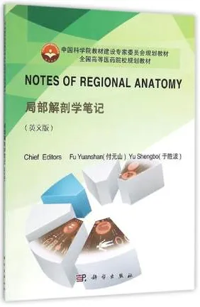 局部解剖学笔记（英文版）