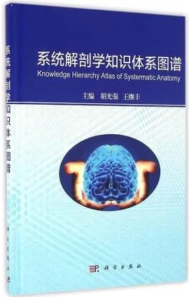 系统解剖学知识体系图谱