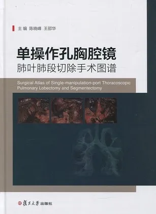 单操作孔胸腔镜肺叶肺段切除手术图谱