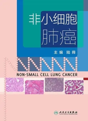 非小细胞肺癌