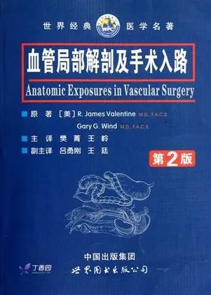 血管局部解剖及手术入路 第2版