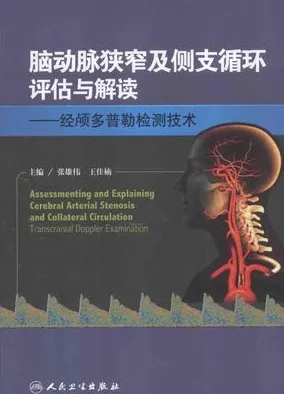 脑动脉狭窄及侧支循环评估与解读