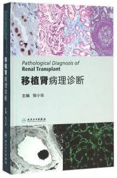 移植肾病理诊断