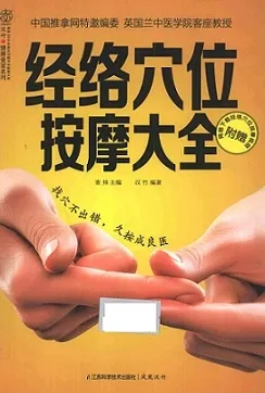 经络穴位按摩大全（2012）